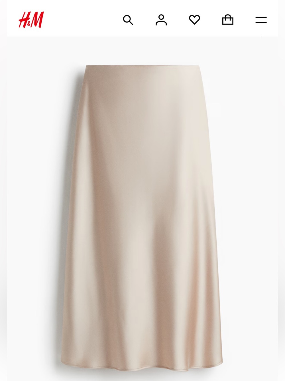 Midi Skirt (H&M)